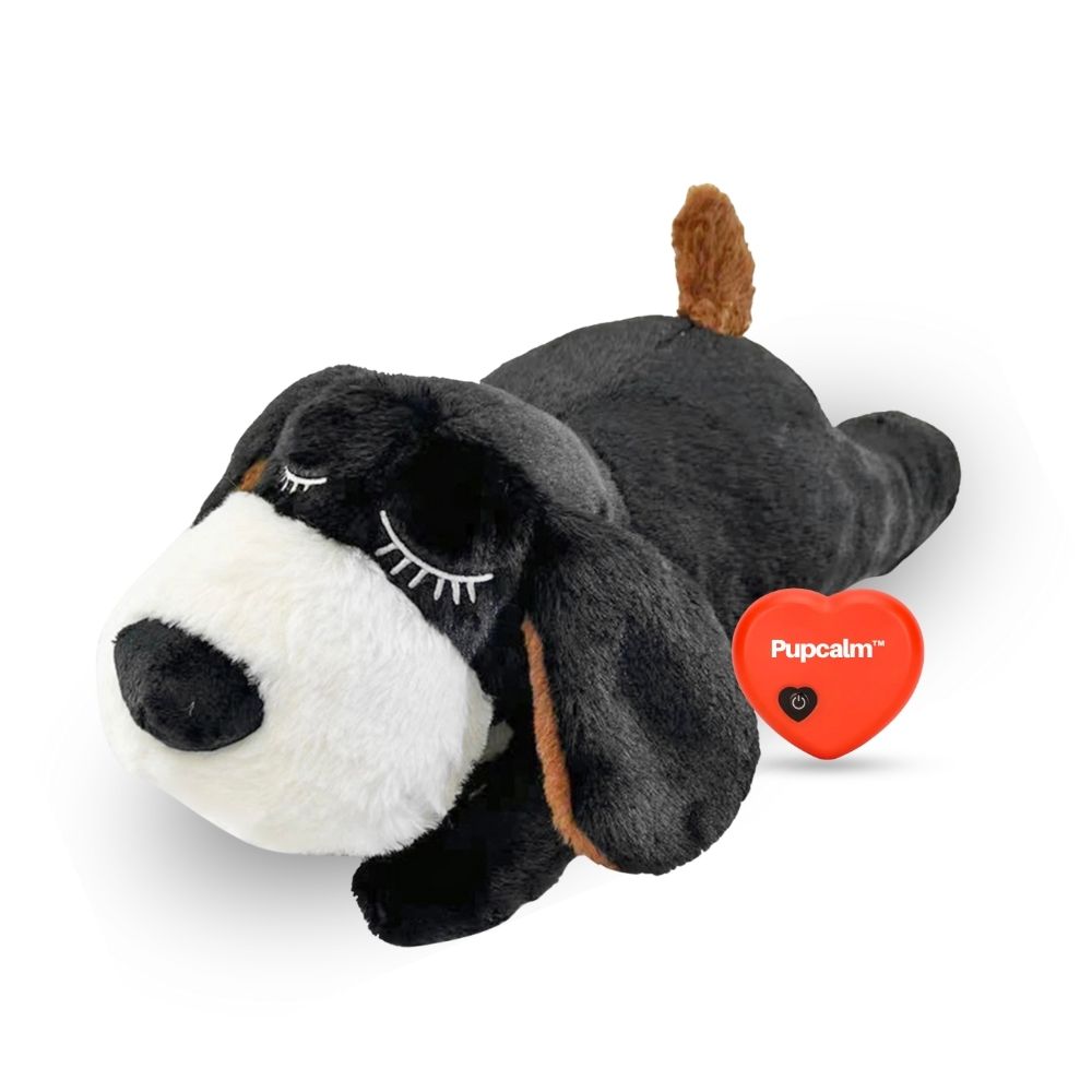 Pupcalm™ – Lindert Stress und hilft bei Angstzuständen