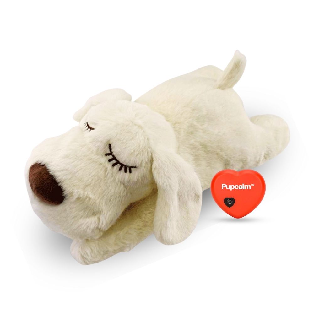 Pupcalm™ – Lindert Stress und hilft bei Angstzuständen