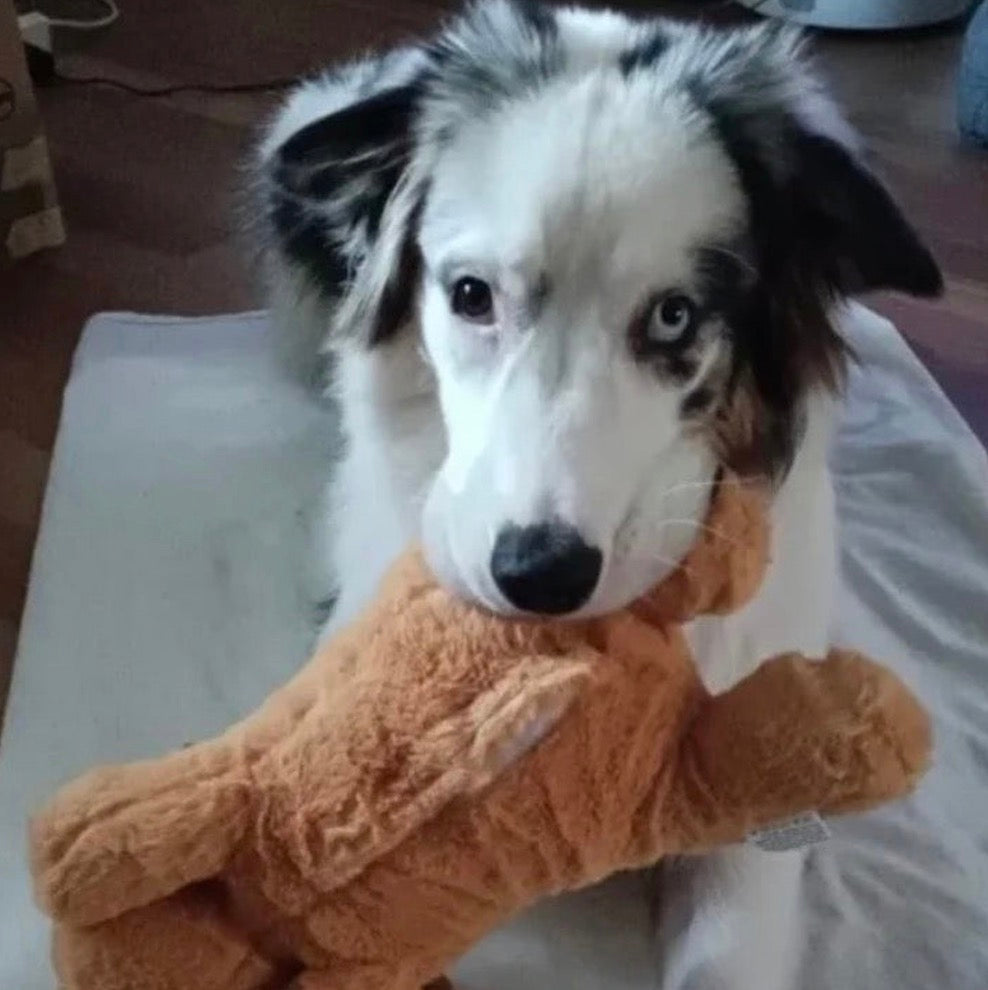 Pupcalm beroligende hundelegetøj kundeanmeldelse 2