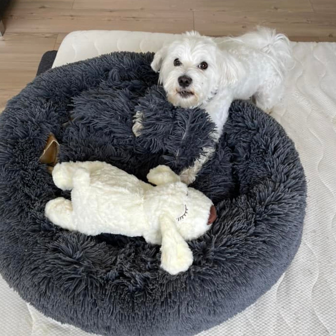 Pupcalm beroligende hundelegetøj kundeanmeldelse 5