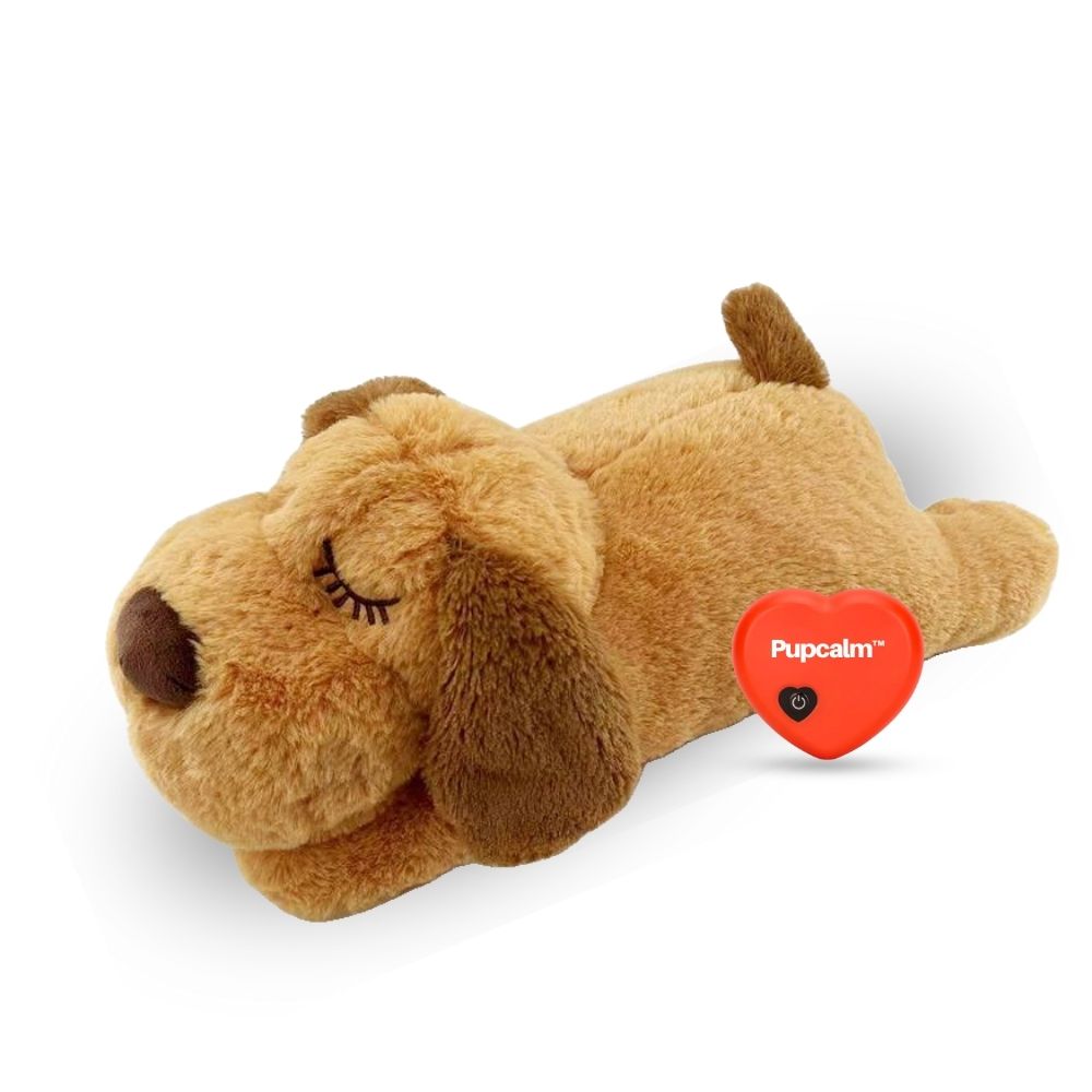 Pupcalm™ – Lindert Stress und hilft bei Angstzuständen