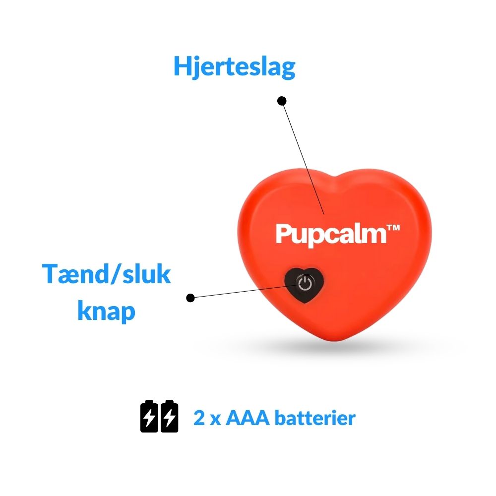 Pupcalm™ – Lindert Stress und hilft bei Angstzuständen