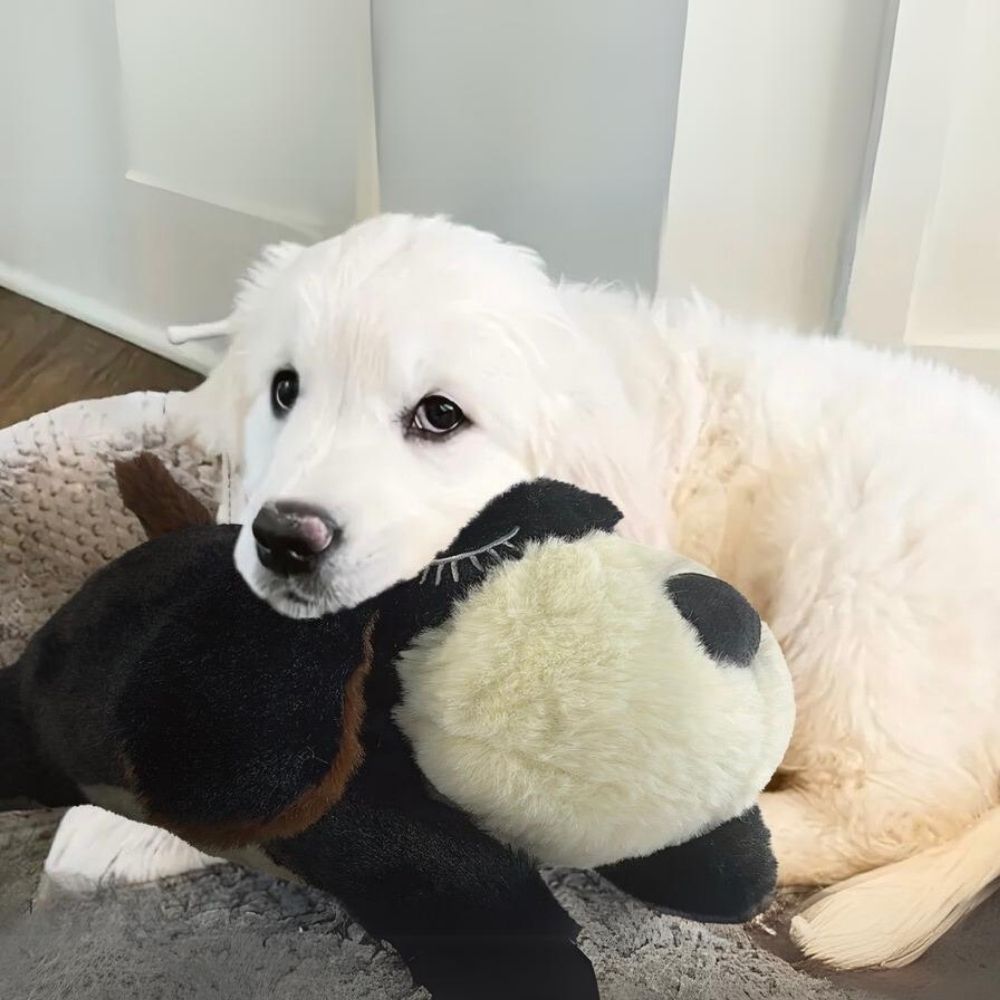 Pupcalm beroligende hundelegetøj sort